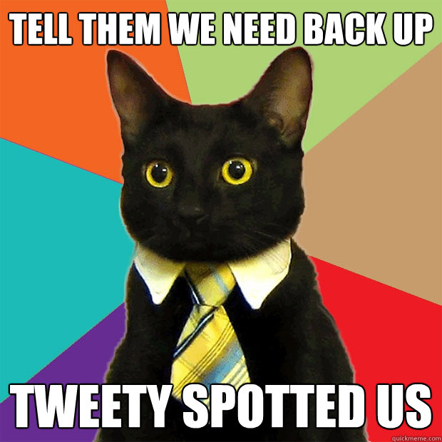 Tell them we need back up Tweety spotted us  Business Cat