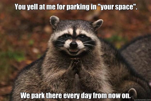 You yell at me for parking in 