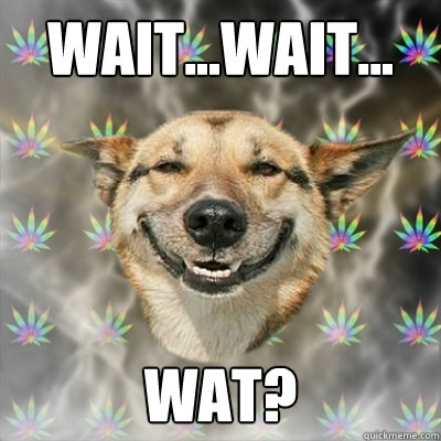 wait...wait... wat?  Stoner Dog