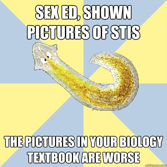 Sex ed, shown pictures of STIs The pictures in your biology textbook are worse  Bio Major Planarian