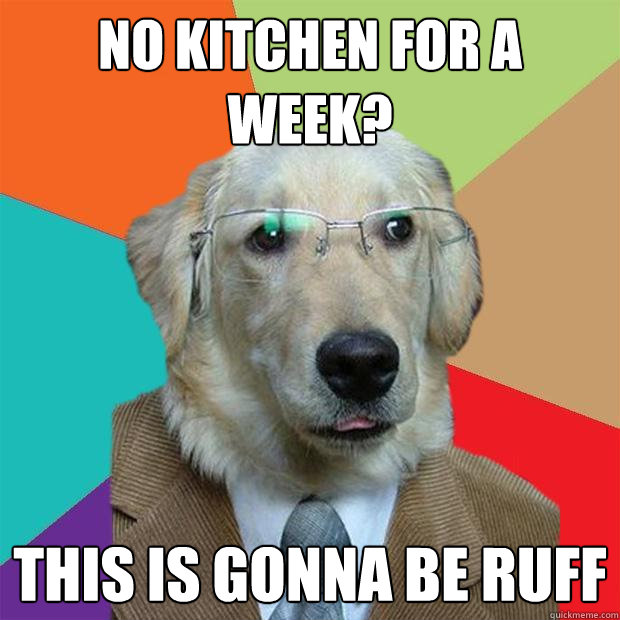 No kitchen for a week? This is gonna be ruff  Business Dog