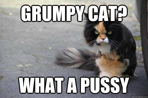 Grumpy Cat? What a pussy  