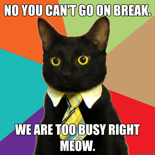 No you can't go on break. We are too busy right meow.  Business Cat