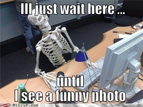         ILL JUST WAIT HERE ...        UNTIL I SEE A FUNNY PHOTO Misc