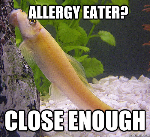 allergy eater? close enough - allergy eater? close enough  Freshman Algae Eater