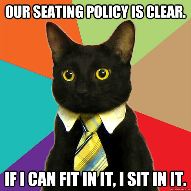 Our seating policy is clear. If I can fit in it, I sit in it.  Business Cat