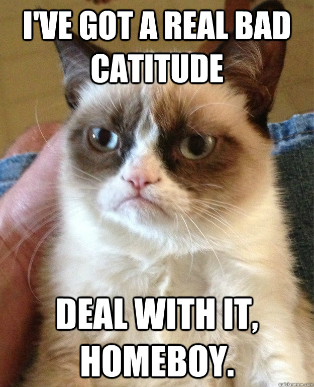 I've got a real bad catitude Deal with it, homeboy.  Grumpy Cat