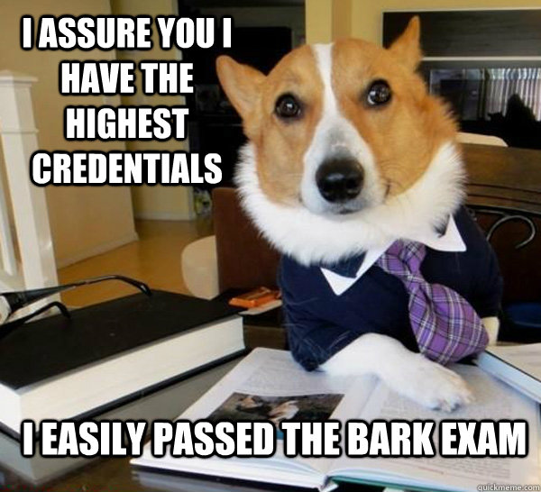 I ASSURE YOU I HAVE THE HIGHEST CREDENTIALS I EASILY PASSED THE BARK EXAM  Lawyer Dog