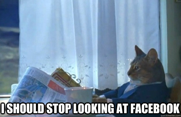  I should stop looking at facebook  Sophisticated Cat