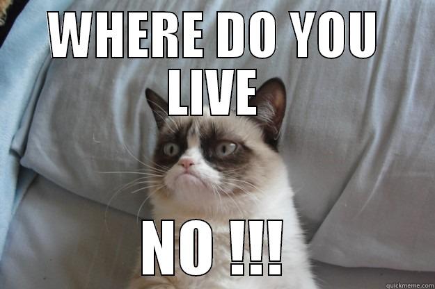 NA ANGLISKI - WHERE DO YOU LIVE NO !!! Grumpy Cat