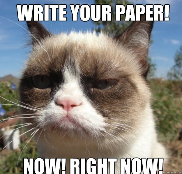 Write Your Paper Meme