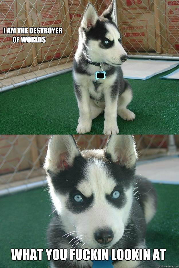 i am the destroyer 
       of worlds what you fuckin lookin at  Insanity puppy