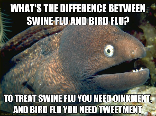 What's the difference between swine flu and bird flu? To treat swine flu you need oinkment, and bird flu you need tweetment  Bad Joke Eel