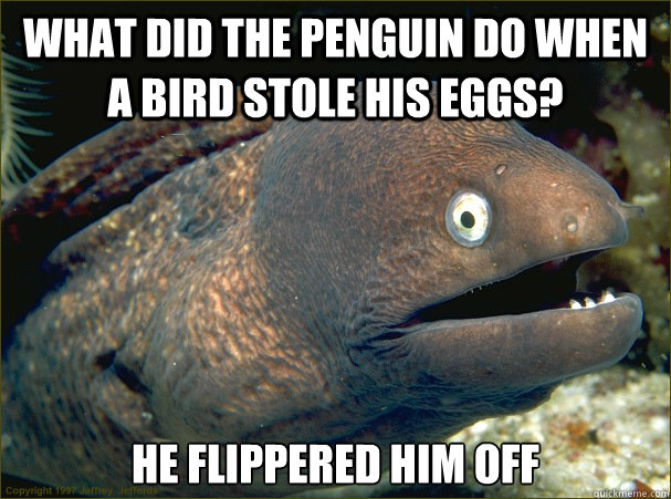 what did the penguin do when a bird stole his eggs? he flippered him off  Bad Joke Eel