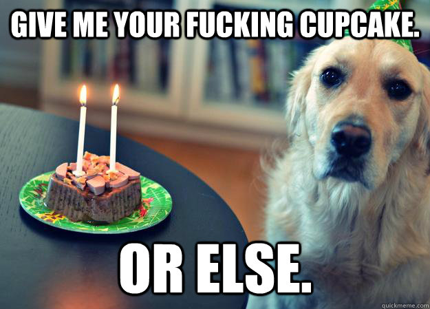 give me your fucking cupcake. or else.  Sad Birthday Dog