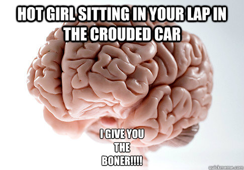 hot girl sitting in your lap in the crouded car  i give you 
the 
boner!!!!
   Scumbag Brain