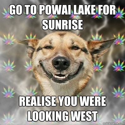 Go To Powai Lake for Sunrise Realise you were looking West  Stoner Dog