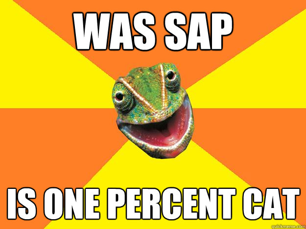 Was SAP Is one percent cat  Karma Chameleon