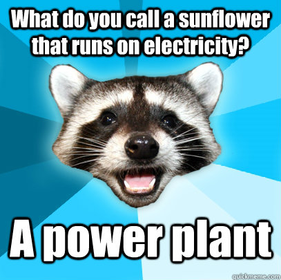 What do you call a sunflower that runs on electricity? A power plant  Lame Pun Coon