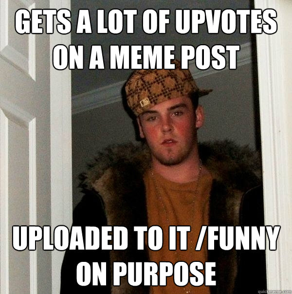 gets a lot of upvotes on a meme post uploaded to it /funny on purpose  Scumbag Steve