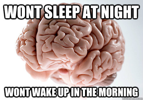 Wont sleep at night wont wake up in the morning   Scumbag Brain