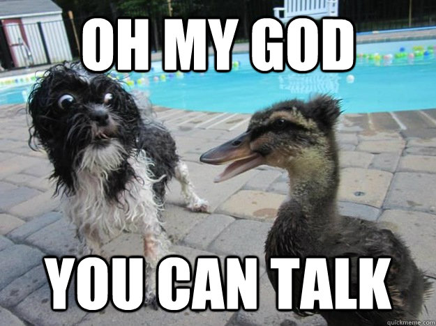 Oh my god You can talk - Oh my god You can talk  quackers