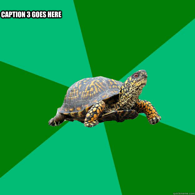 לאט לאט אבל בטוח Caption 3 goes here  Torrenting Turtle