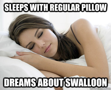 Sleeps with regular pillow Dreams about Swalloon - Sleeps with regular pillow Dreams about Swalloon  Sleep Meme