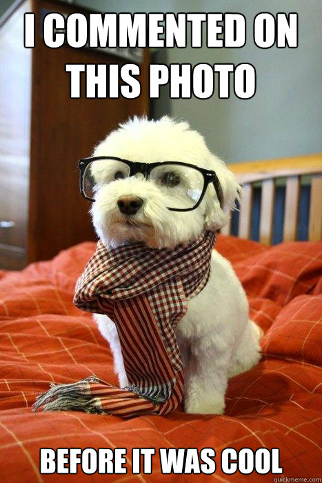 I commented on this photo  before it was cool  Hipster Dog