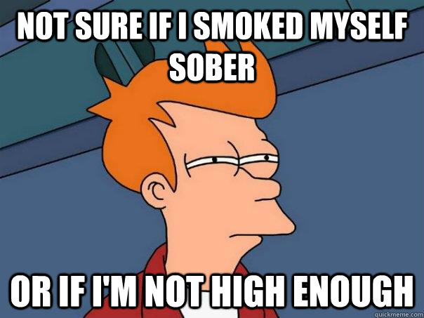 Not sure if I smoked myself sober Or if I'm not high enough  Futurama Fry