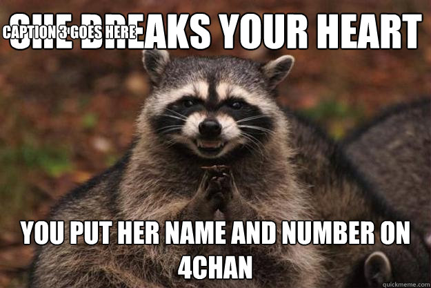 she breaks your heart you put her name and number on 4chan Caption 3 goes here - she breaks your heart you put her name and number on 4chan Caption 3 goes here  Evil Plotting Raccoon