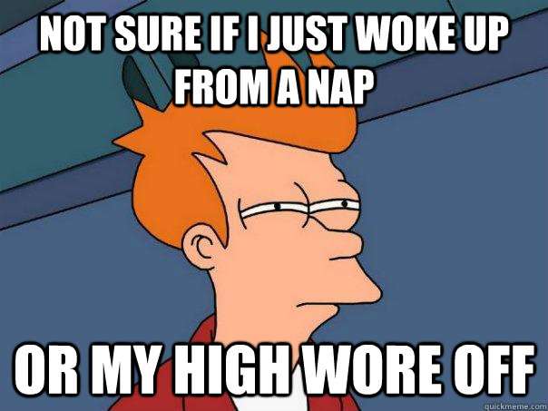 Not sure if i just woke up from a nap  Or my high wore off - Not sure if i just woke up from a nap  Or my high wore off  Futurama Fry