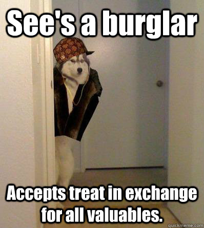 See's a burglar Accepts treat in exchange for all valuables.  Scumbag dog