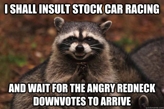 i shall insult stock car racing and wait for the angry redneck downvotes to arrive  Evil Plotting Raccoon