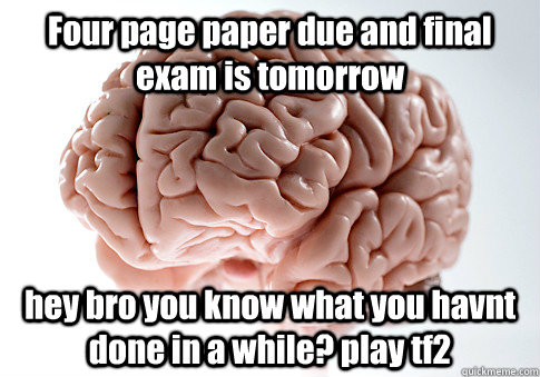 Four page paper due and final exam is tomorrow  hey bro you know what you havnt done in a while? play tf2   Scumbag Brain