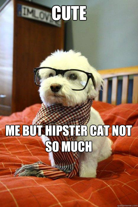 cute me but hipster cat not so much  Hipster Dog