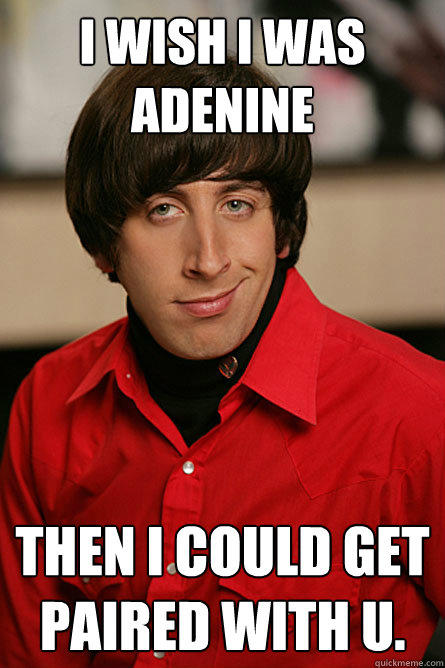 I wish I was adenine  then I could get paired with U.  