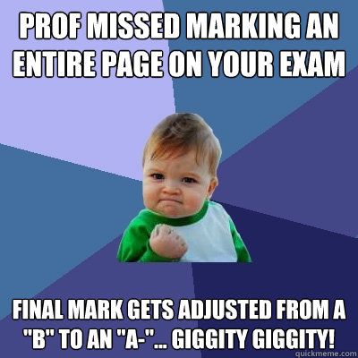 Prof missed marking an entire page on your exam Final mark gets adjusted from a 