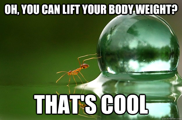 oh, you can lift your body weight? That's cool  Condescending Ant