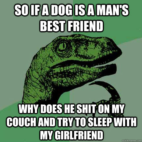 So if a dog is a man's best friend why does he shit on my couch and try to sleep with my girlfriend  Philosoraptor