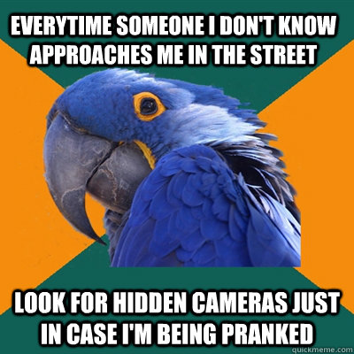 everytime someone i don't know approaches me in the street  Look for hidden cameras just in case i'm being pranked - everytime someone i don't know approaches me in the street  Look for hidden cameras just in case i'm being pranked  Paranoid Parrot