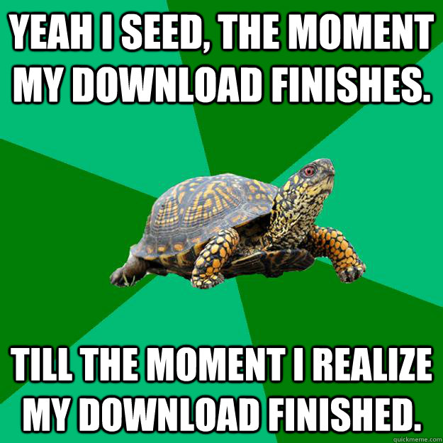 Yeah I seed, the moment my download finishes. till the moment i realize my download finished.  Torrenting Turtle