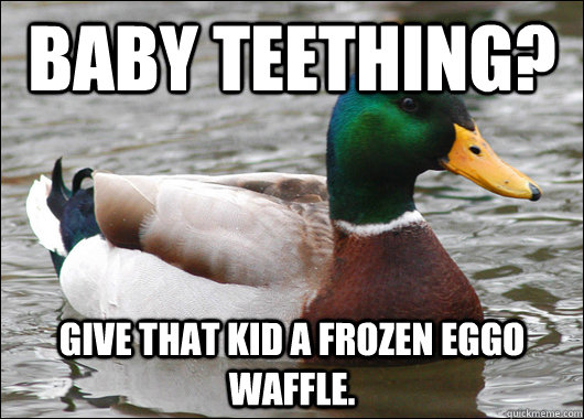 Baby teething? Give that kid a frozen eggo waffle. - Baby teething? Give that kid a frozen eggo waffle.  Actual Advice Mallard