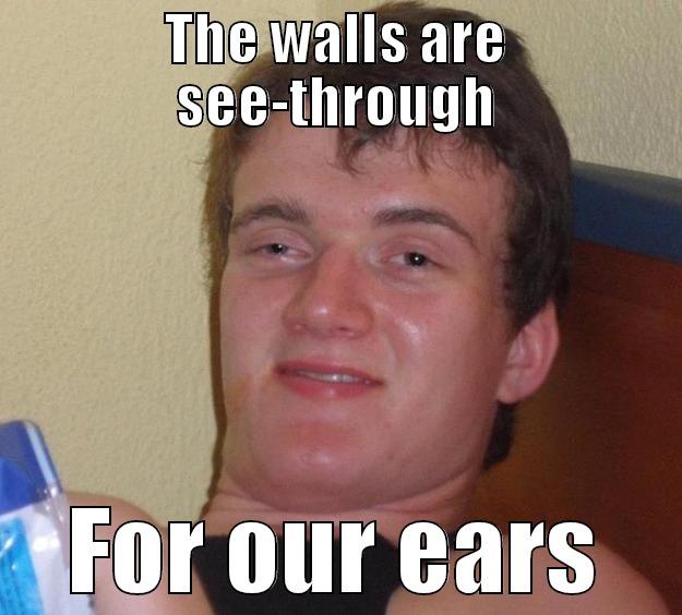 The Walls - THE WALLS ARE SEE-THROUGH FOR OUR EARS 10 Guy