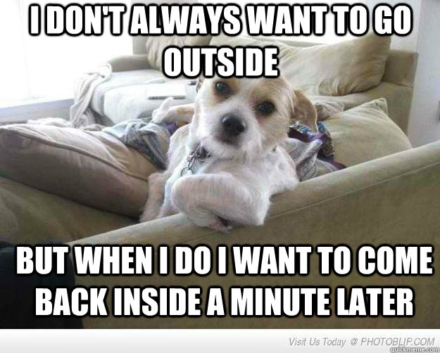I don't always want to go outside But when I do I want to come back inside a minute later  