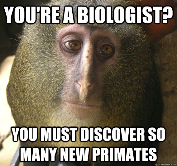 You're a biologist? You must discover so many new primates  