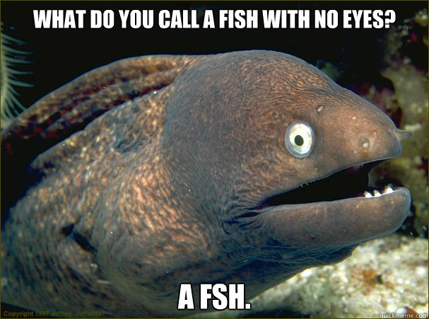 What do you call a fish with no eyes? A fsh. - What do you call a fish with no eyes? A fsh.  Bad Joke Eel