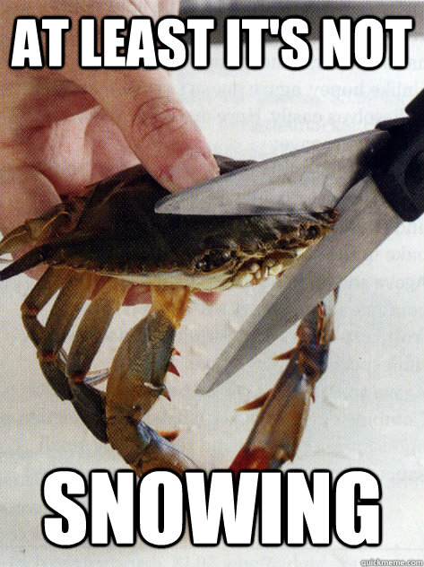 At least it's not Snowing - At least it's not Snowing  Optimistic Crab