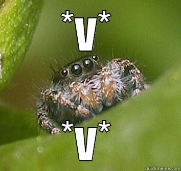 *v* *v* - *V* *V* Misunderstood Spider