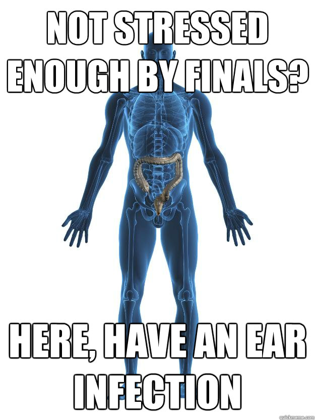 Not stressed enough by finals? Here, have an ear infection  Scumbag human body